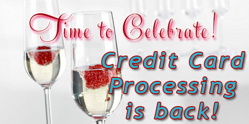 Credit Card Processing is back!